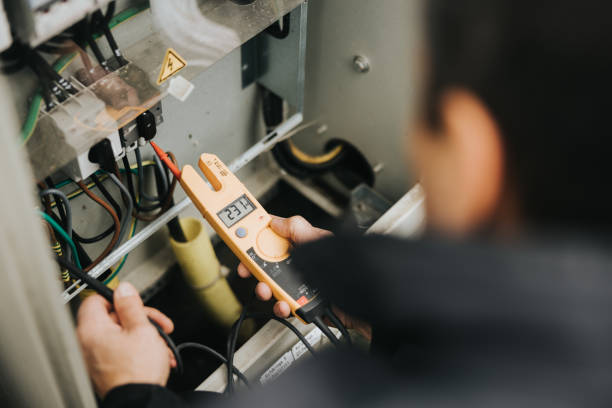 Best Electrical System Inspection  in Madelia, MN