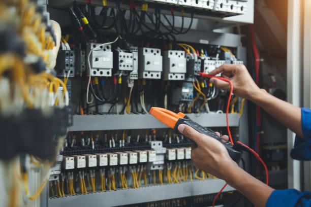 Best Local Electrician Companies  in Madelia, MN