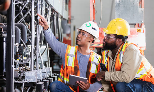 Best Home Electrical Repair  in Madelia, MN