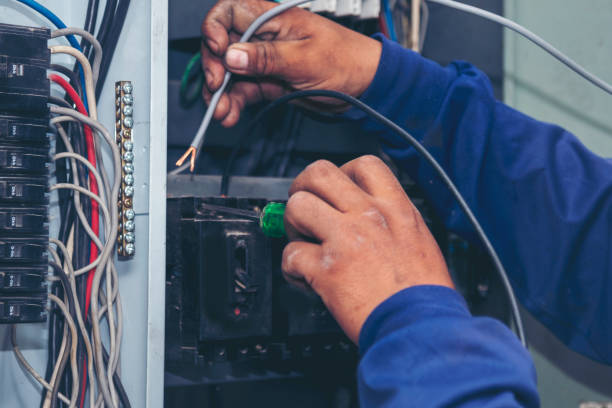 Best Electric Panel Repair  in Madelia, MN