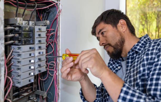 Best Licensed Electrician  in Madelia, MN